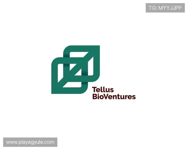 AG国际官方网站的详细注册流程与新手玩家必知的操作技巧指南